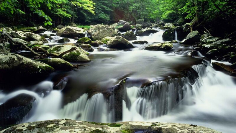 Forest stream with waterfall