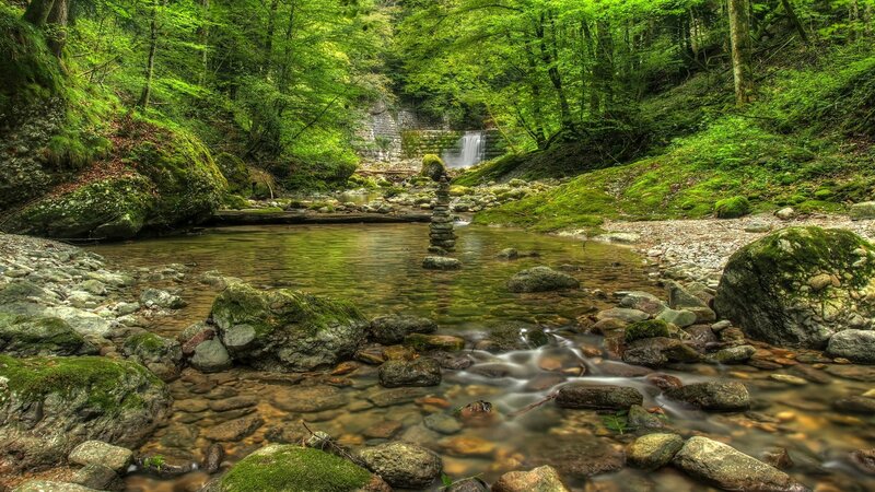 Forest Stream with Waterfall — Green, Serene, Afternoon, Photograph, River