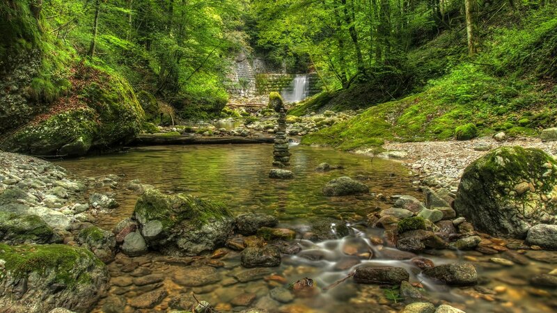 Forest Stream with Waterfall — Green, Serene, Afternoon