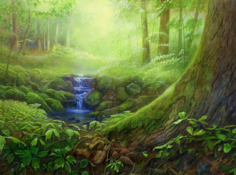 Forest Stream with Waterfall — Green, Serene, Morning