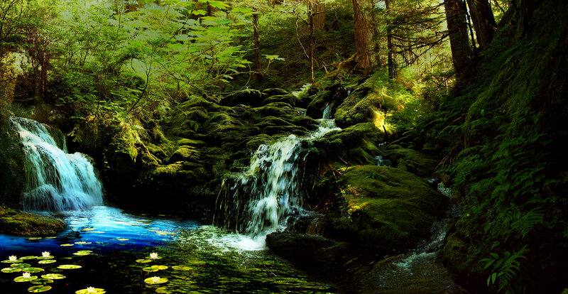 Forest Stream with Waterfalls — Green, Serene