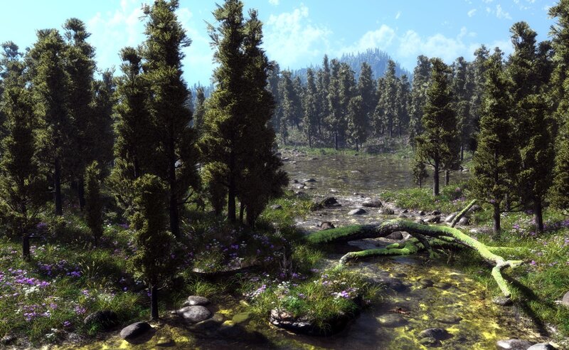 Forest stream with wildflowers