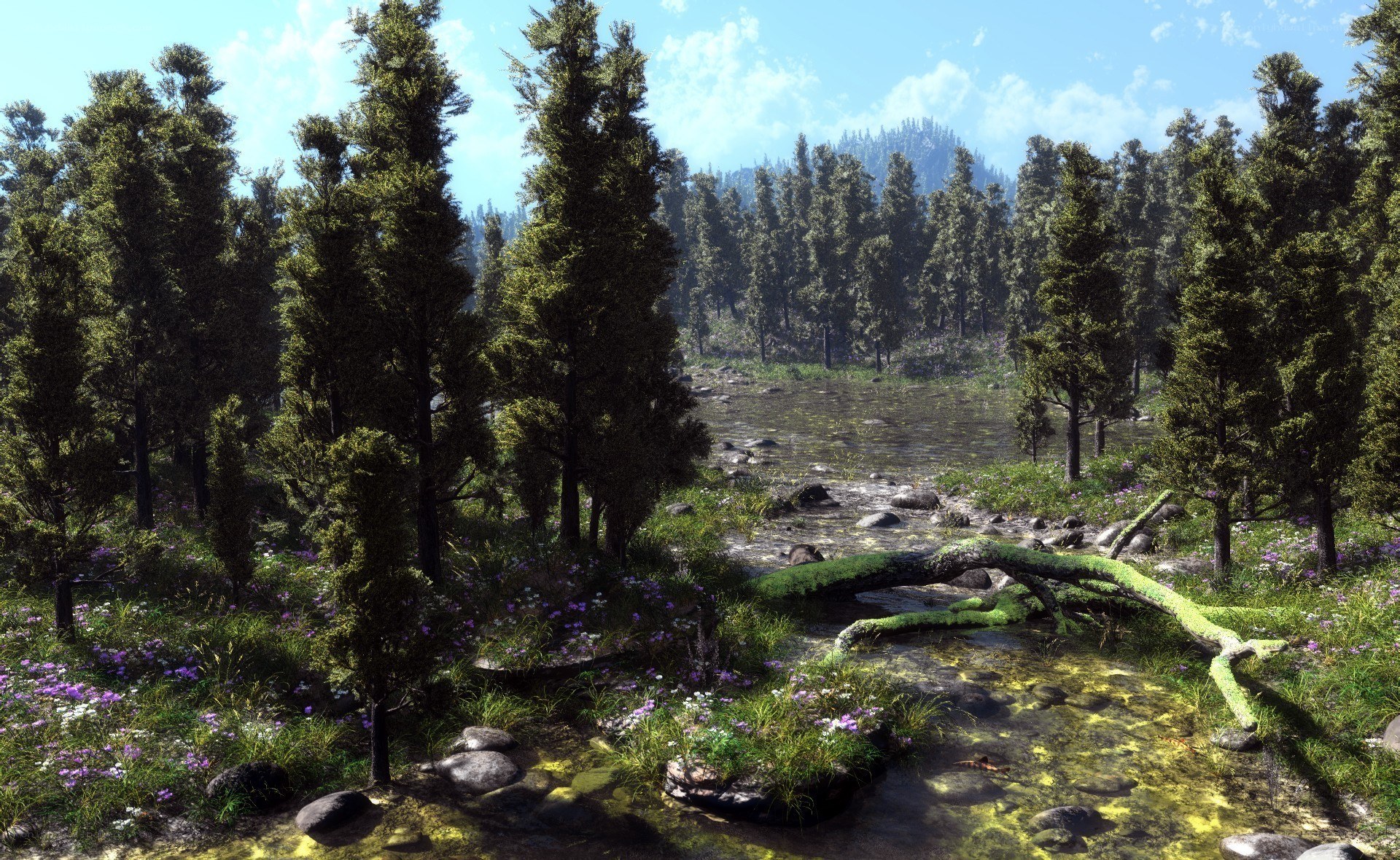 Forest stream with wildflowers