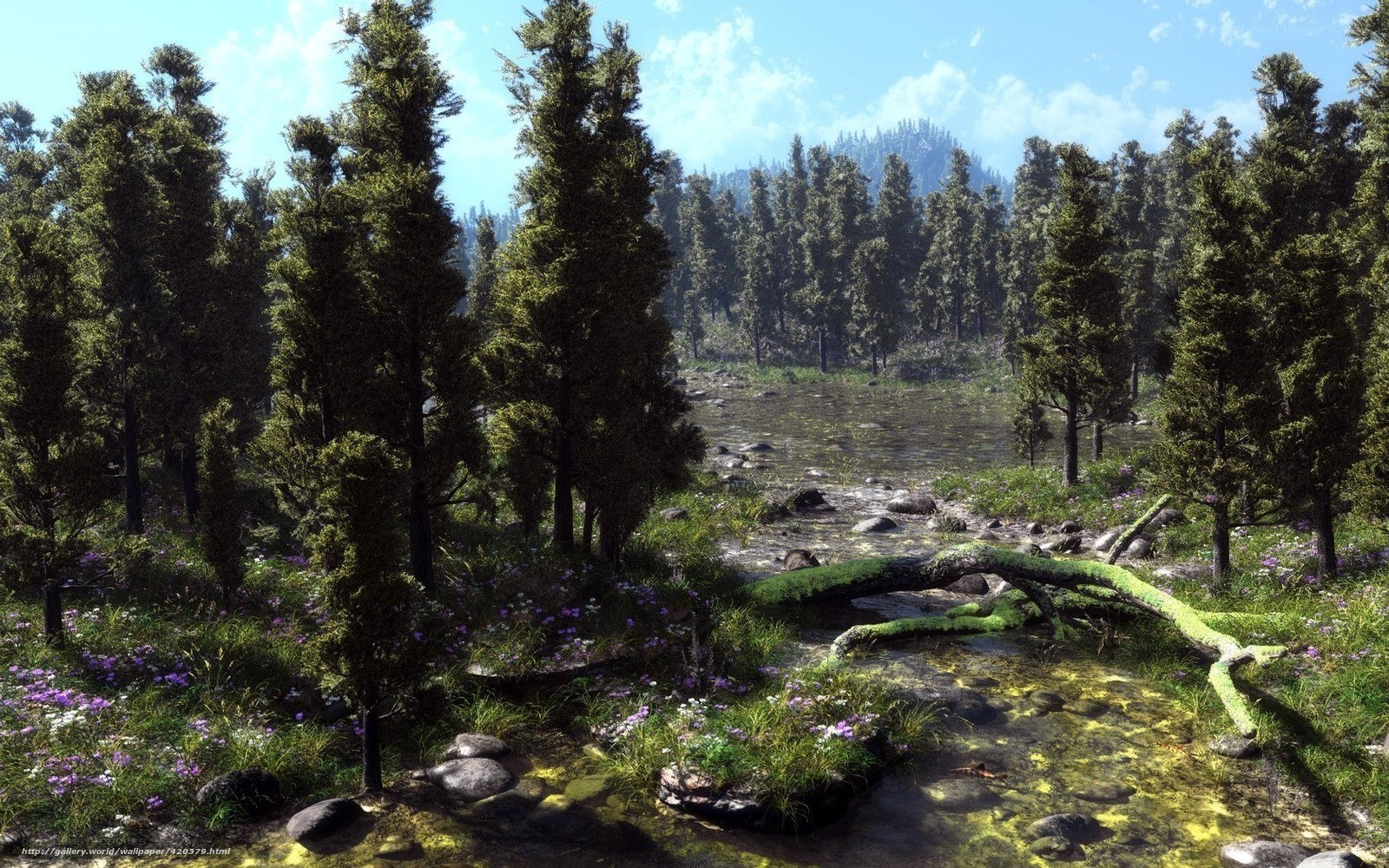 Forest stream with wildflowers