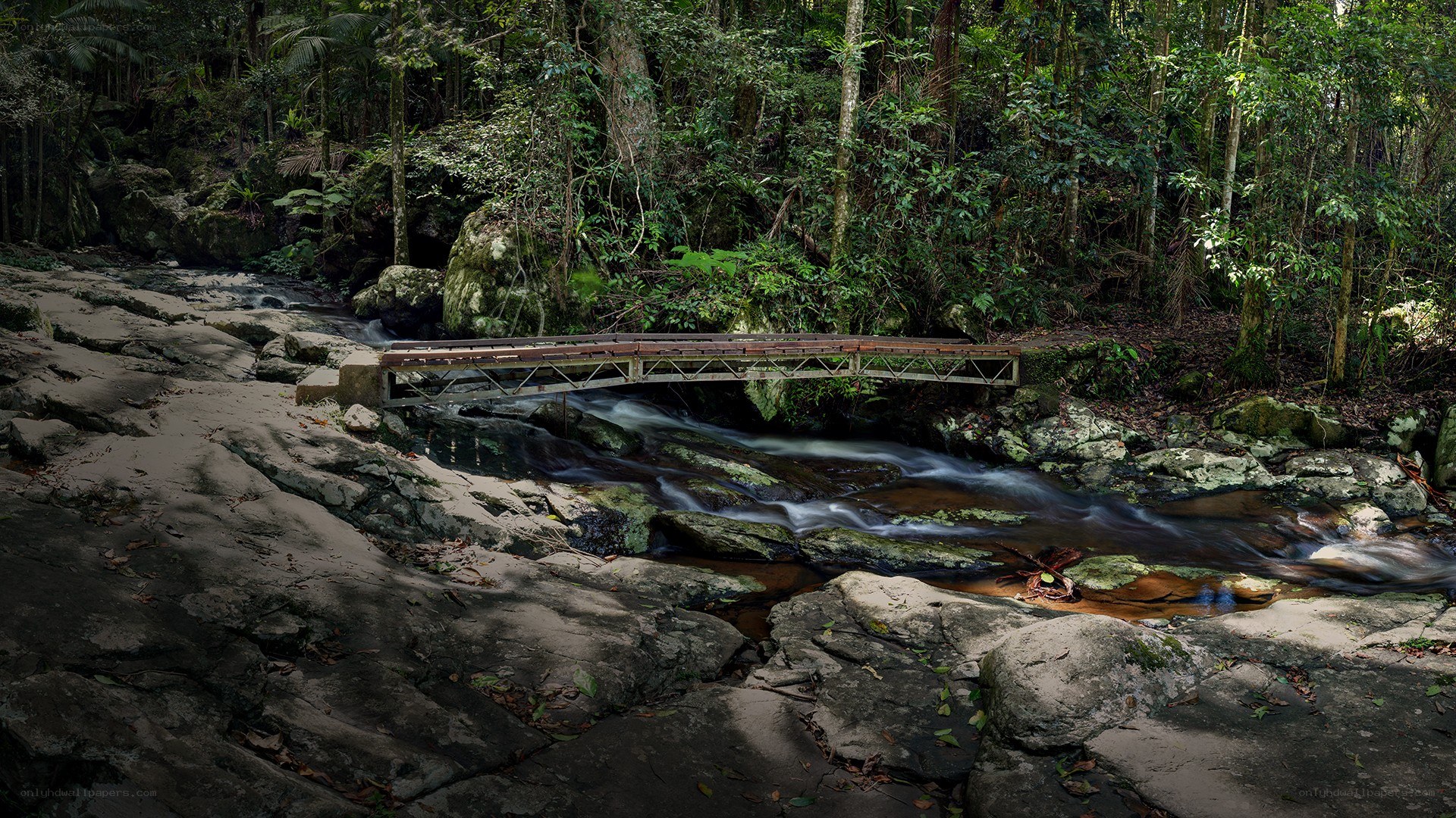 Forest stream with wooden bridge