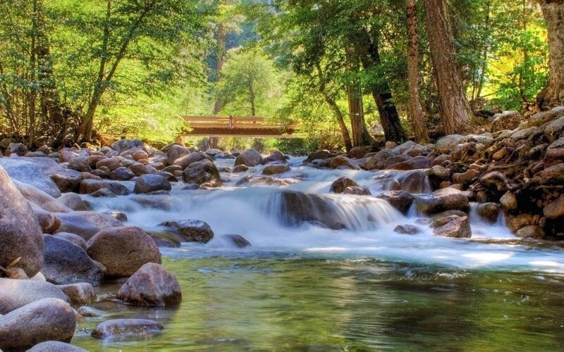 Forest stream with wooden bridge