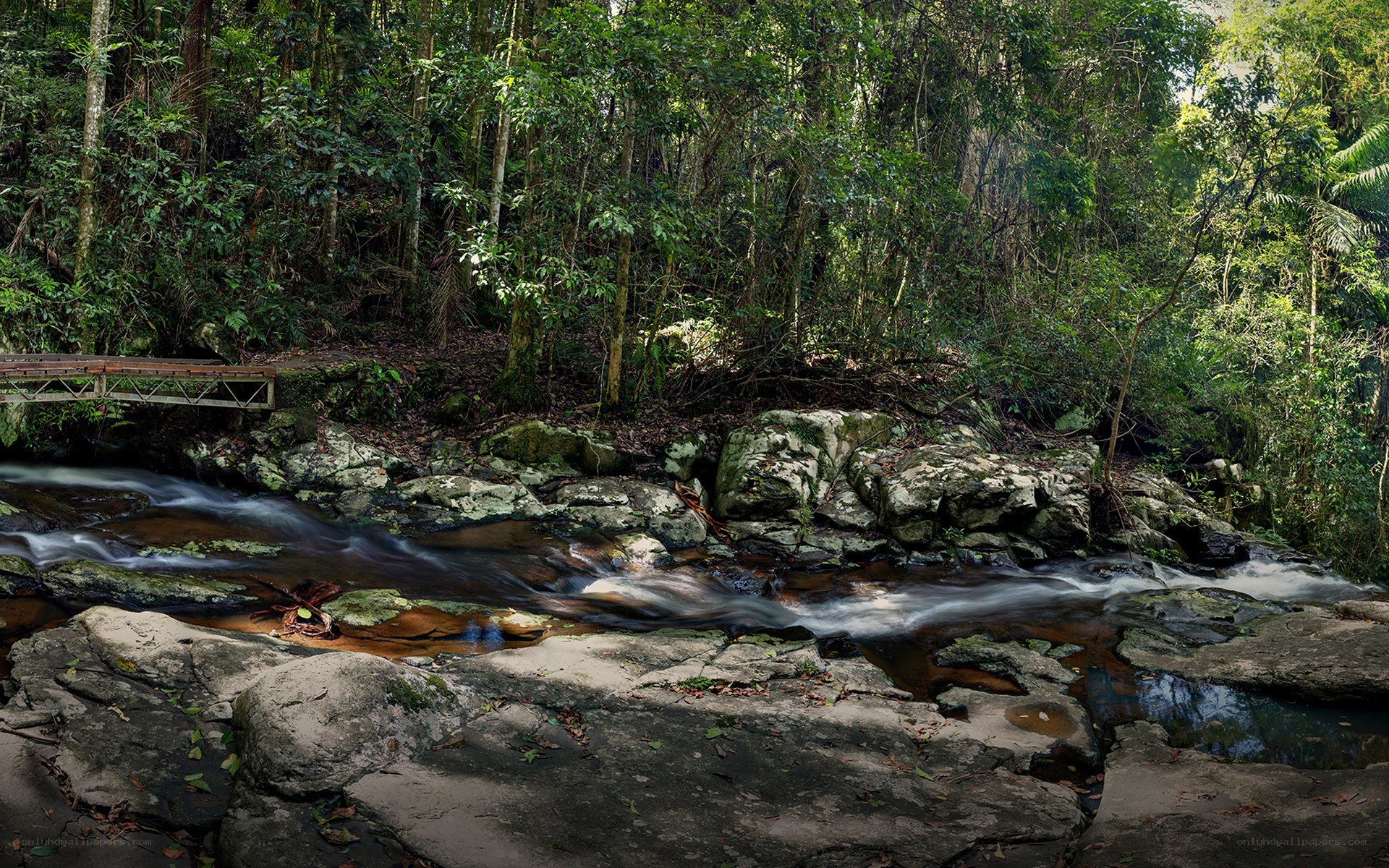 Forest stream with wooden bridge