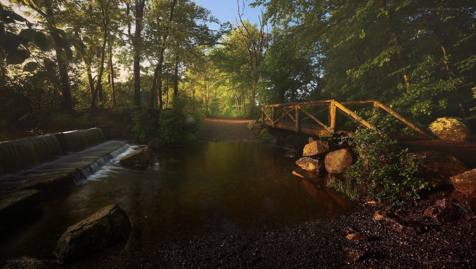 Forest stream with wooden bridge