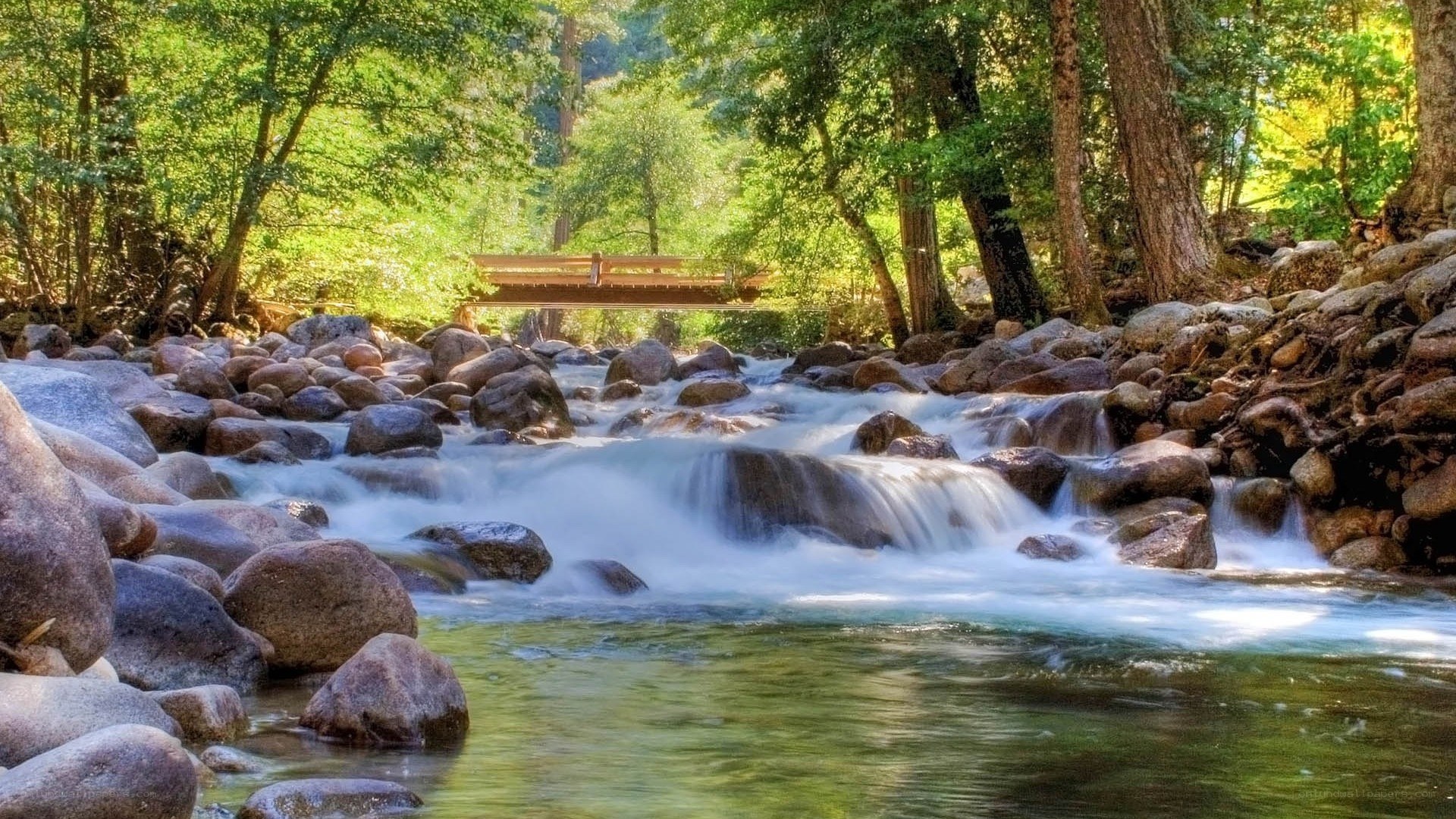 Forest stream with wooden bridge