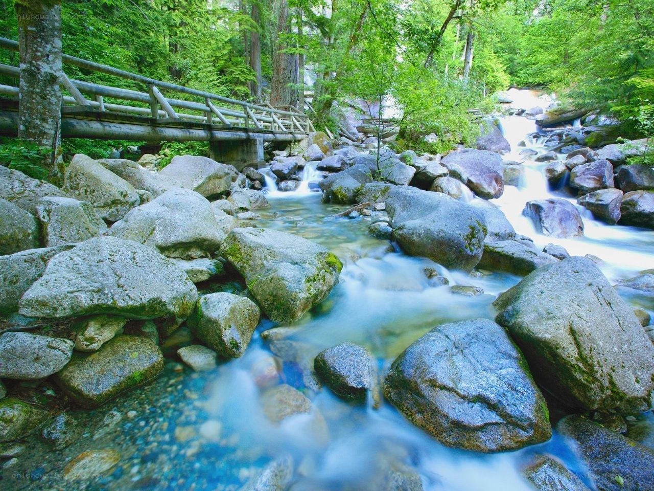 Forest stream with wooden bridge