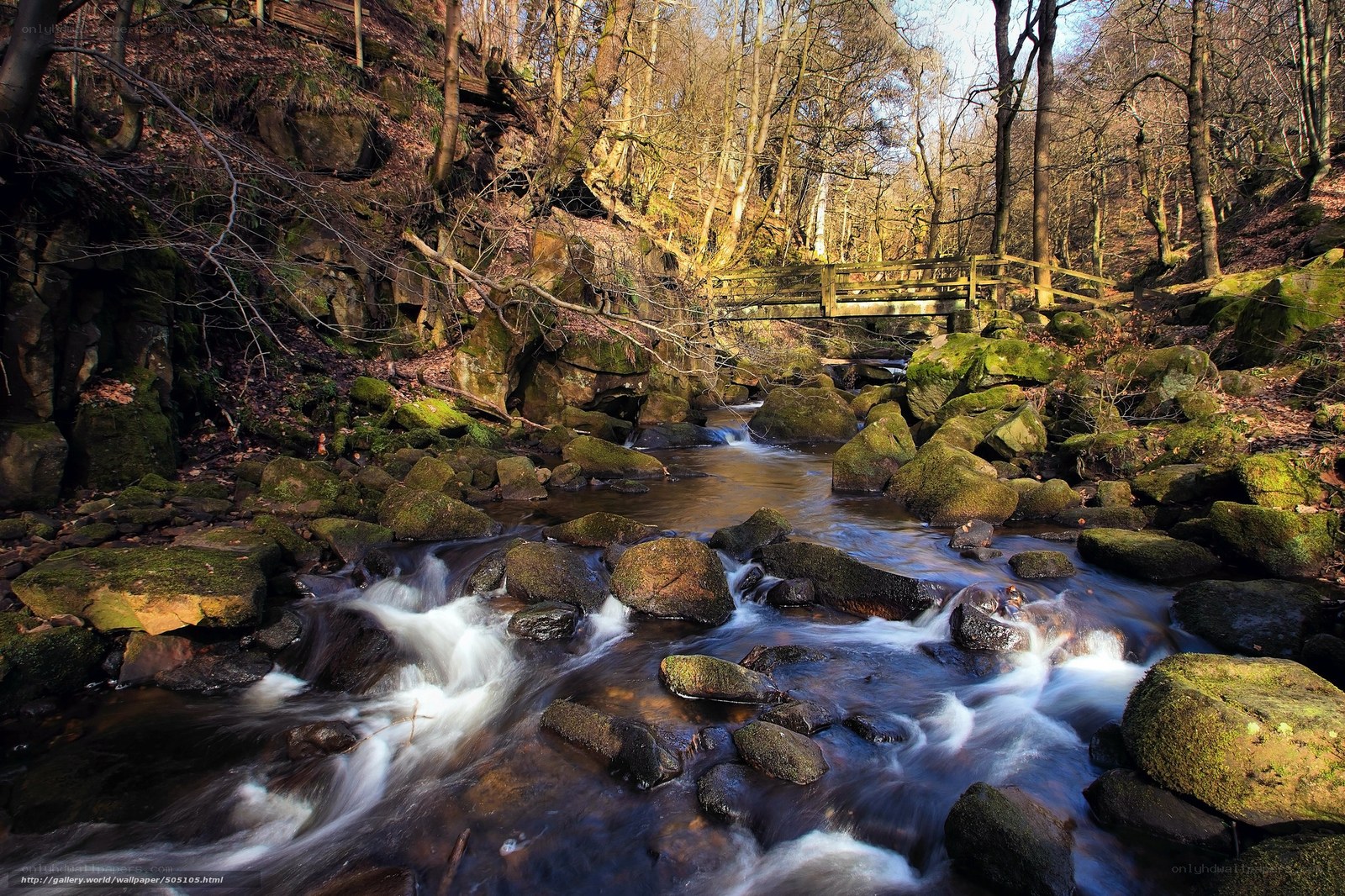 Forest stream with wooden bridge