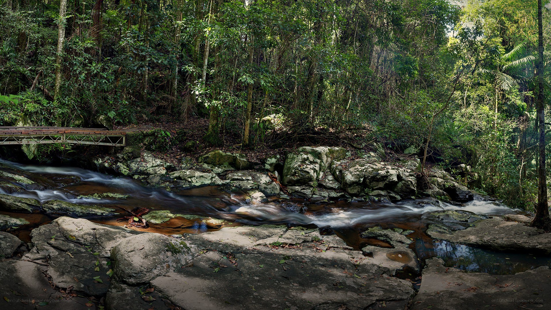 Forest stream with wooden bridge