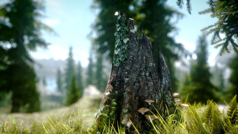 forest stump with mushrooms