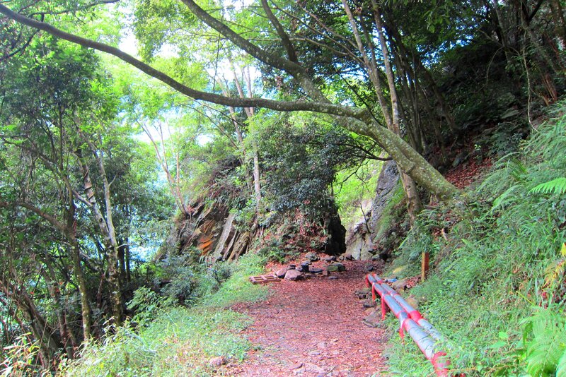 Forest Trail with Red Railing