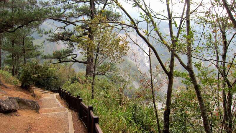 Forest Trail with Wooden Railing
