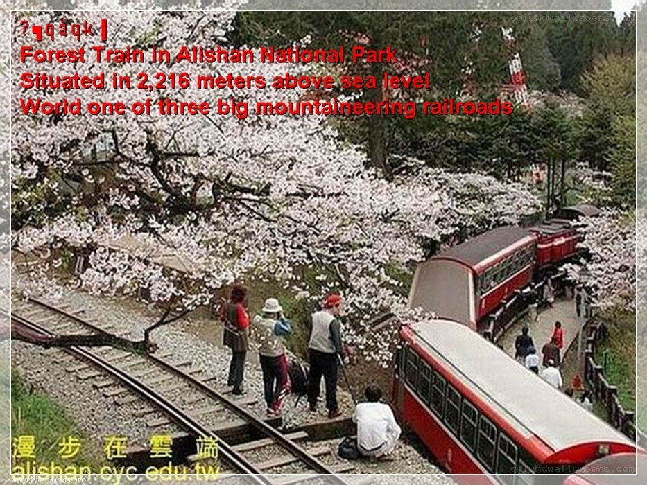 Forest Train in Alishan Park