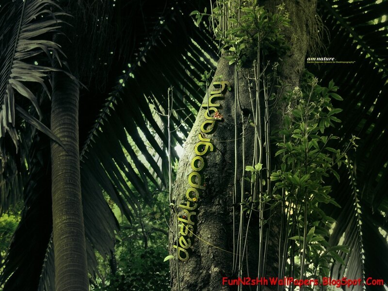 forest tree with text