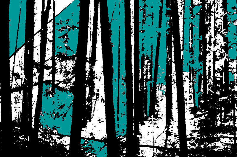 Forest Trees