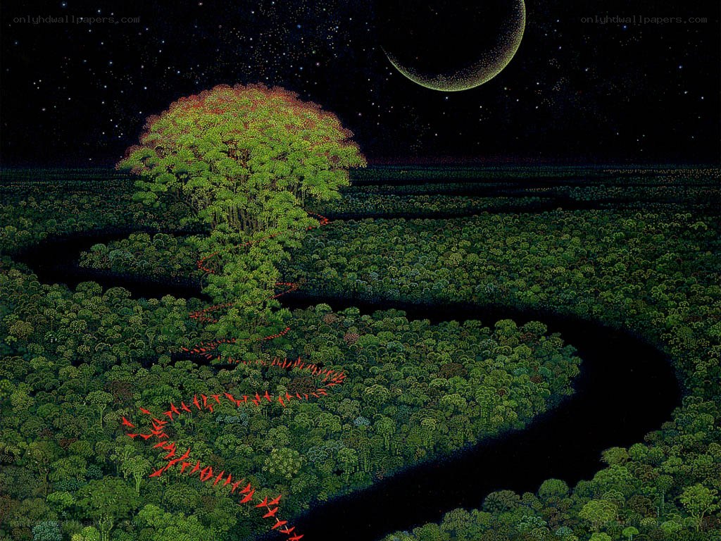 Forest under a crescent moon