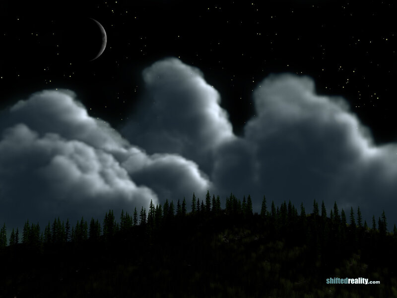 Forest under Night Sky