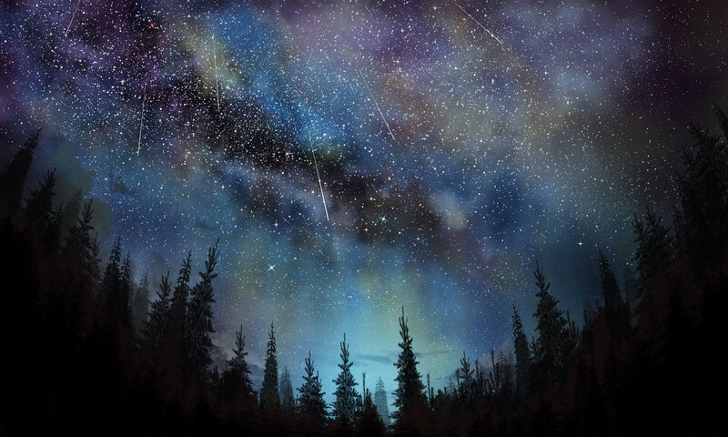 Forest under Starry Sky — Blue