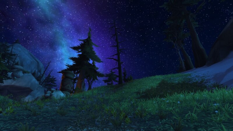 Forest under Starry Sky