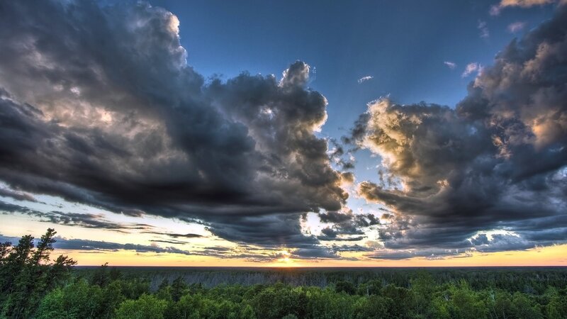Forest under Storm Clouds — Blue, Dramatic, Sunset, Photograph