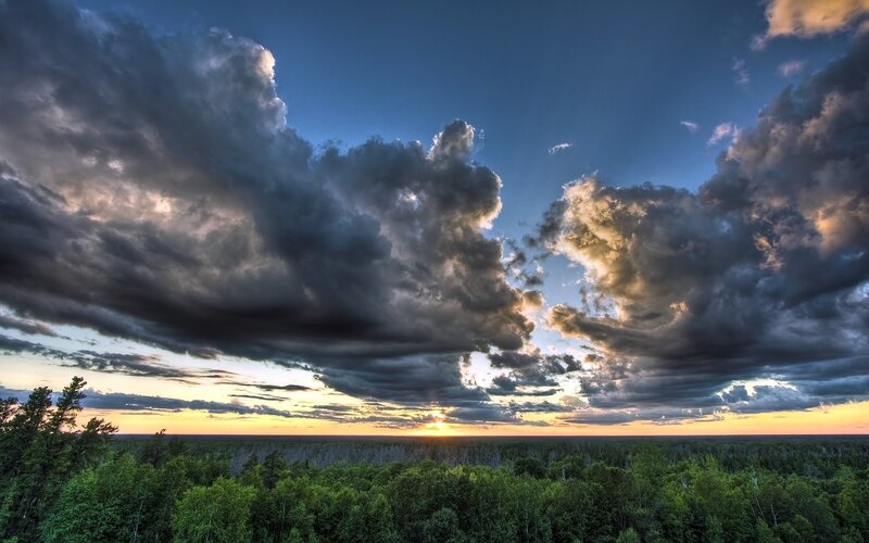 Forest under Storm Clouds — Blue, Dramatic, Sunset