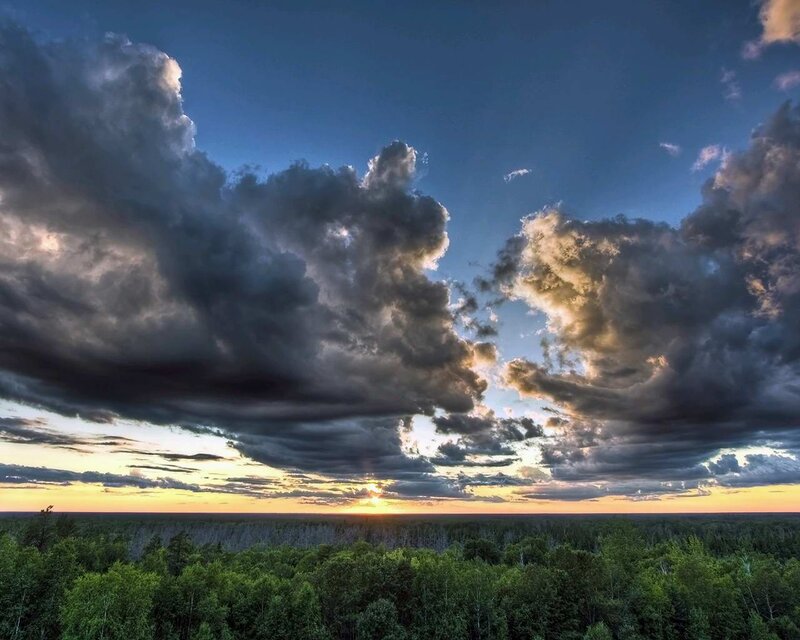 Forest under Storm Clouds — Blue