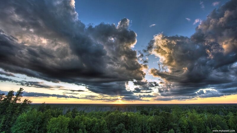 Forest under Storm Clouds — Green, Dramatic, Sunset