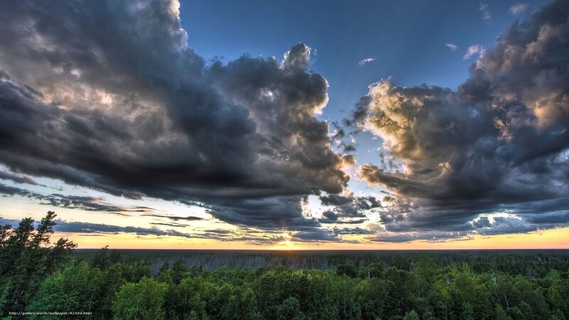 Forest under Storm Clouds — Green
