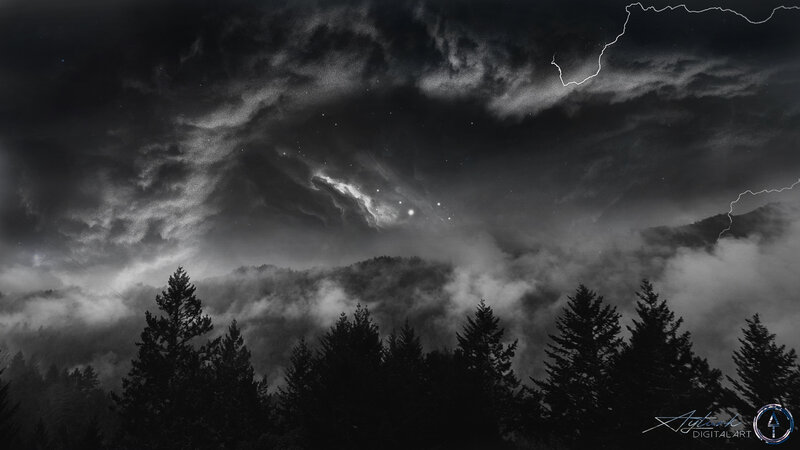 Forest under Stormy Sky — Black