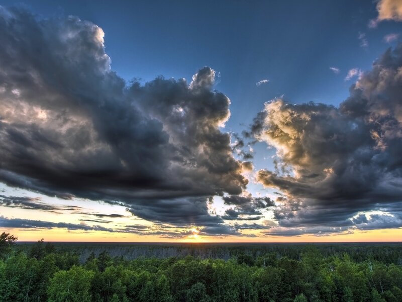 Forest under Stormy Sky — Blue
