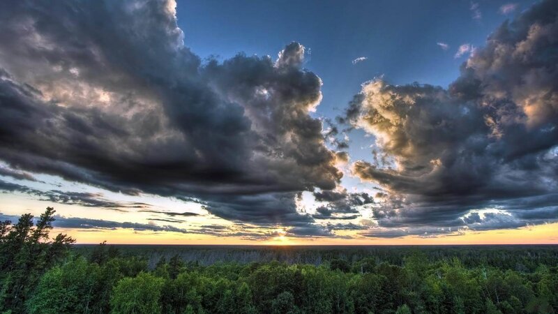 Forest under Stormy Sky — Green