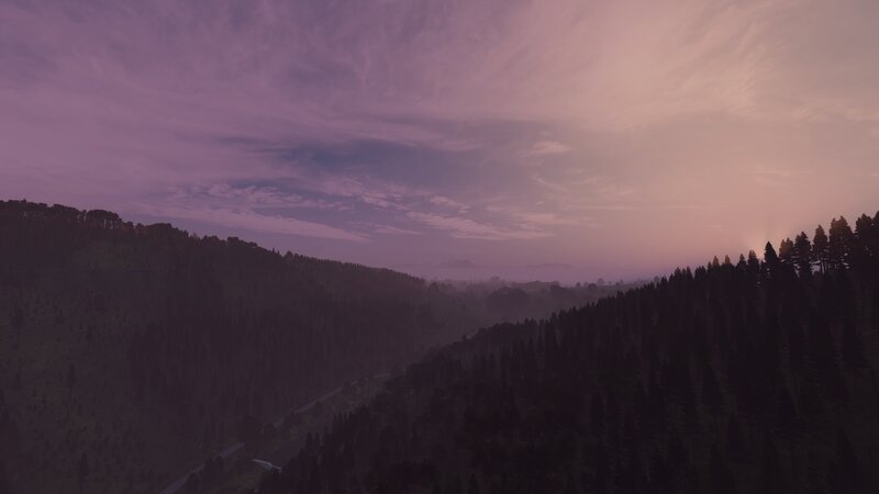 Forest Valley at Dusk