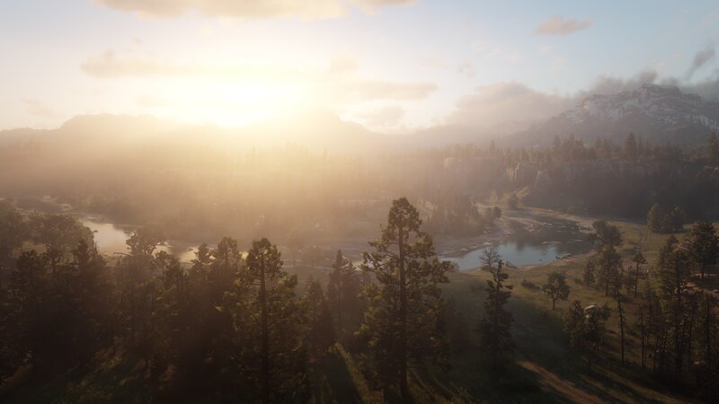 Forest Valley at Sunrise — Green