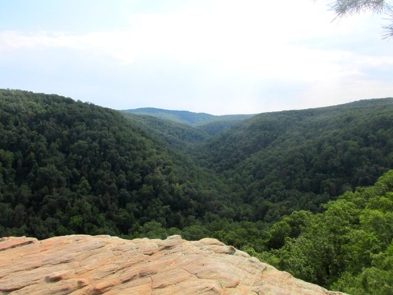 Forest Valley from Cliff
