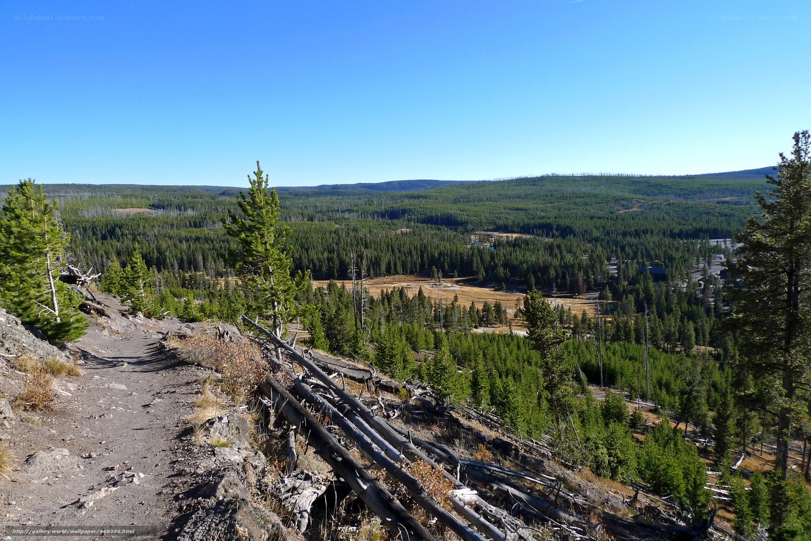 forest valley trail view