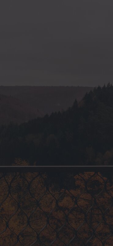 Forest Valley View — Black
