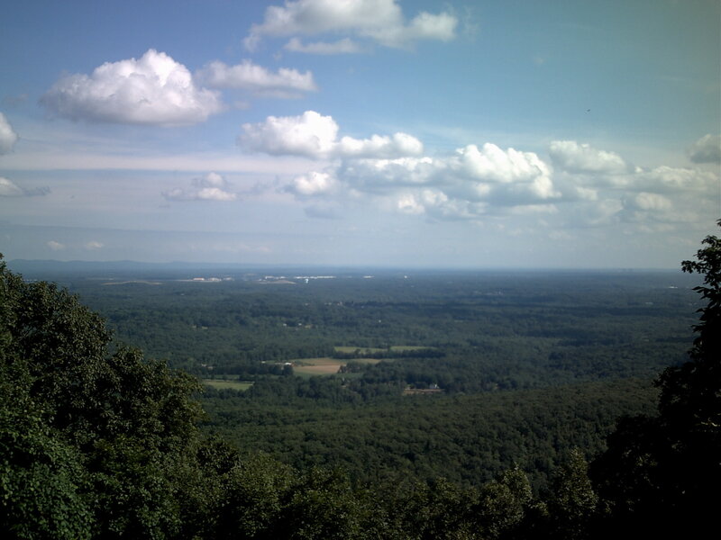 forest valley view from hill