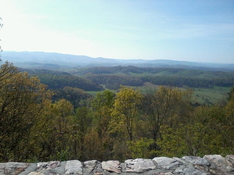Forest Valley View — Green, Serene
