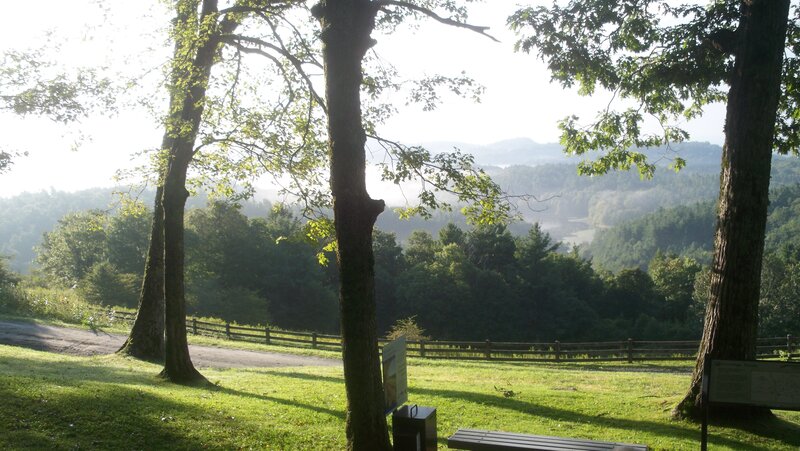 Forest Valley View — Green