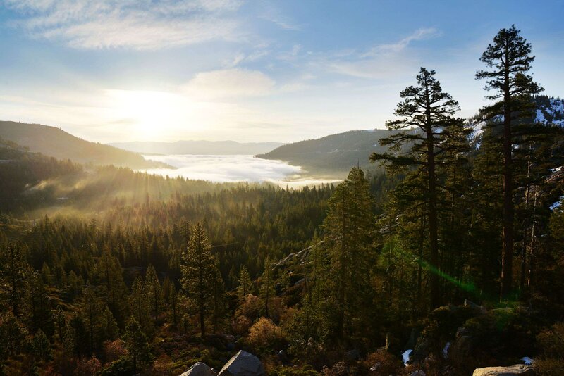 Forest Valley with Fog