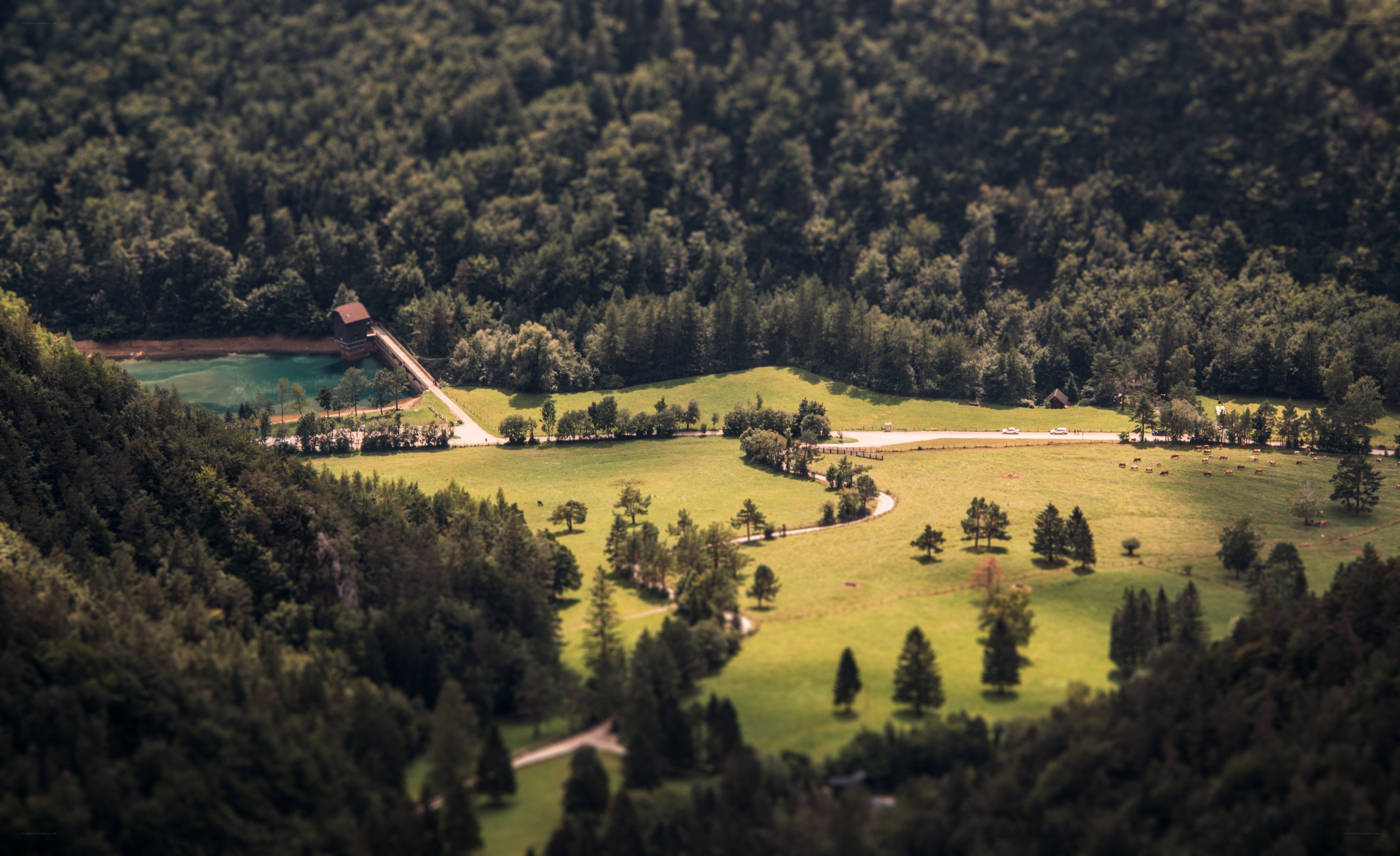 Forest valley with lake and dam
