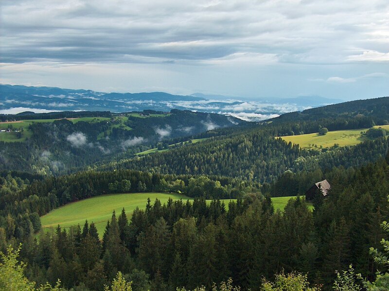 Forest valley with misty mountains
