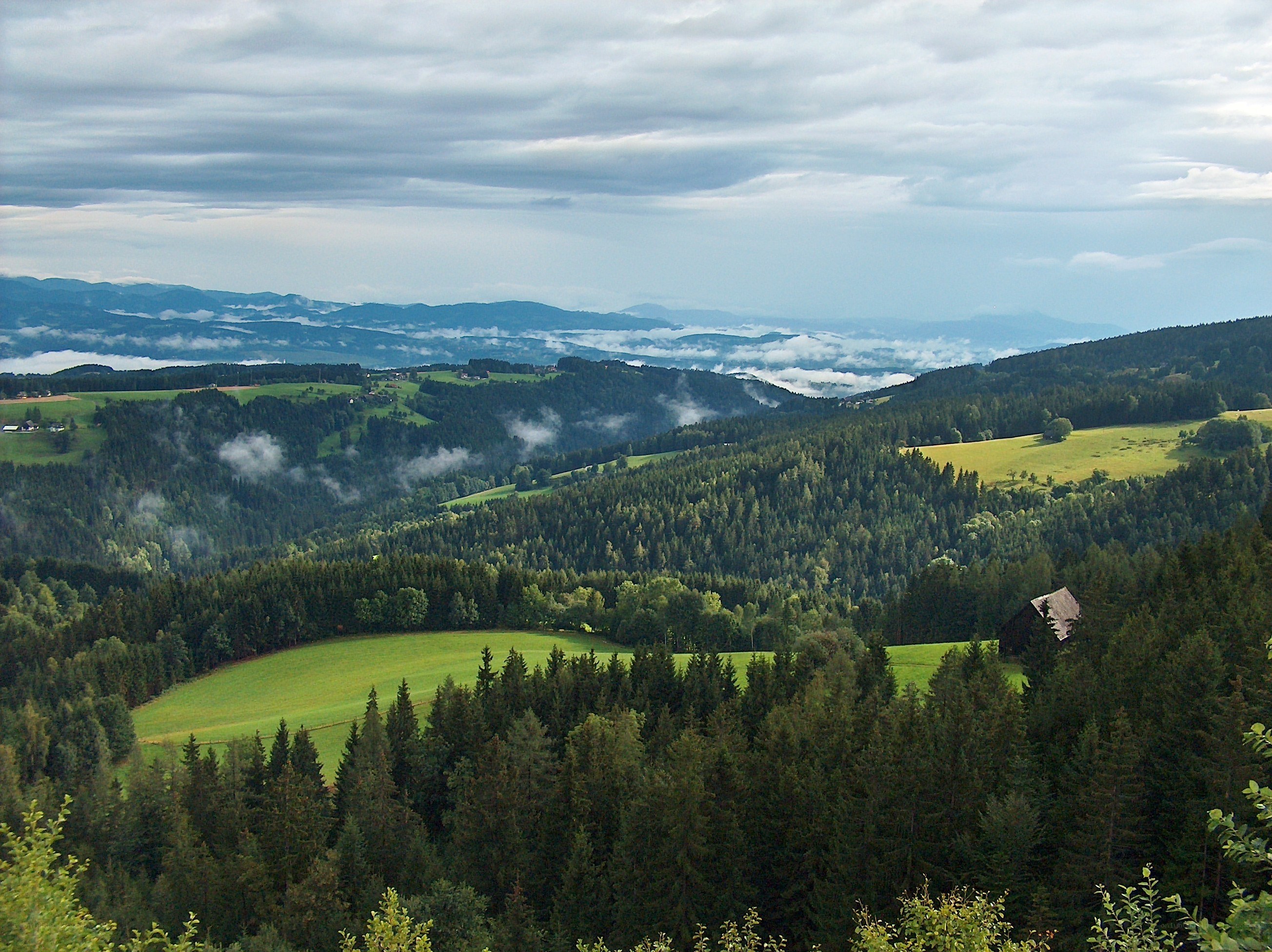 Forest valley with misty mountains