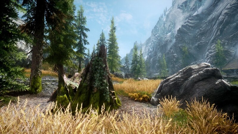 forest valley with mountains