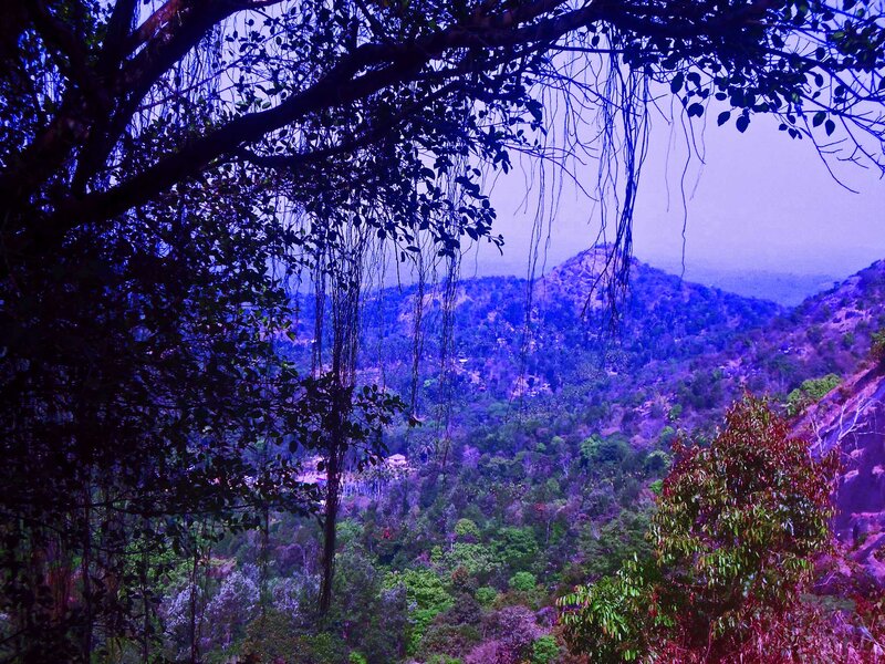 Forest Valley with Mountains — Purple
