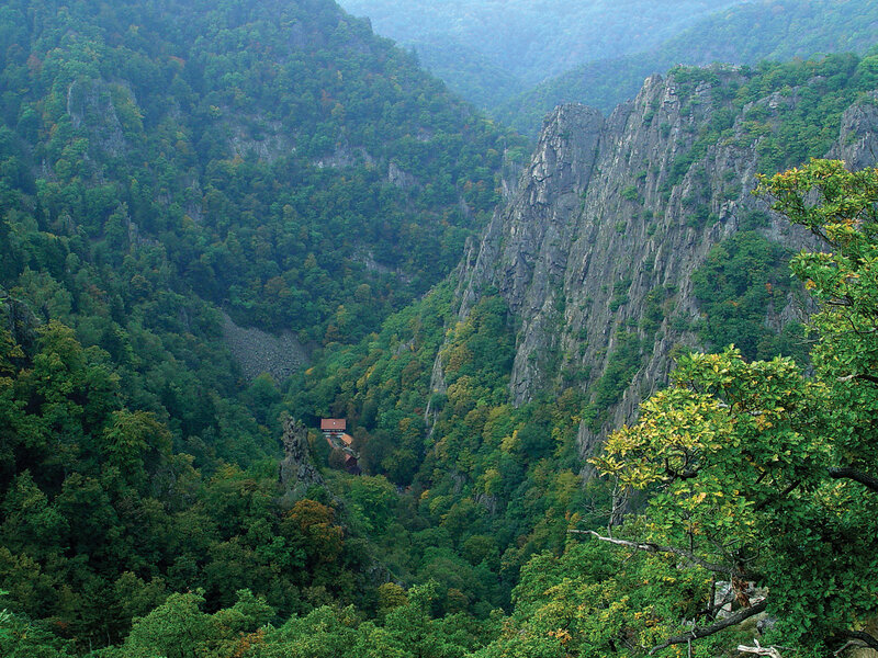 Forest valley with rocky cliffs