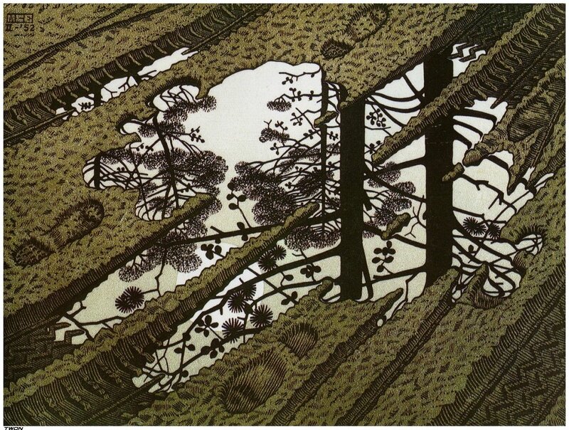 Forest View from Below